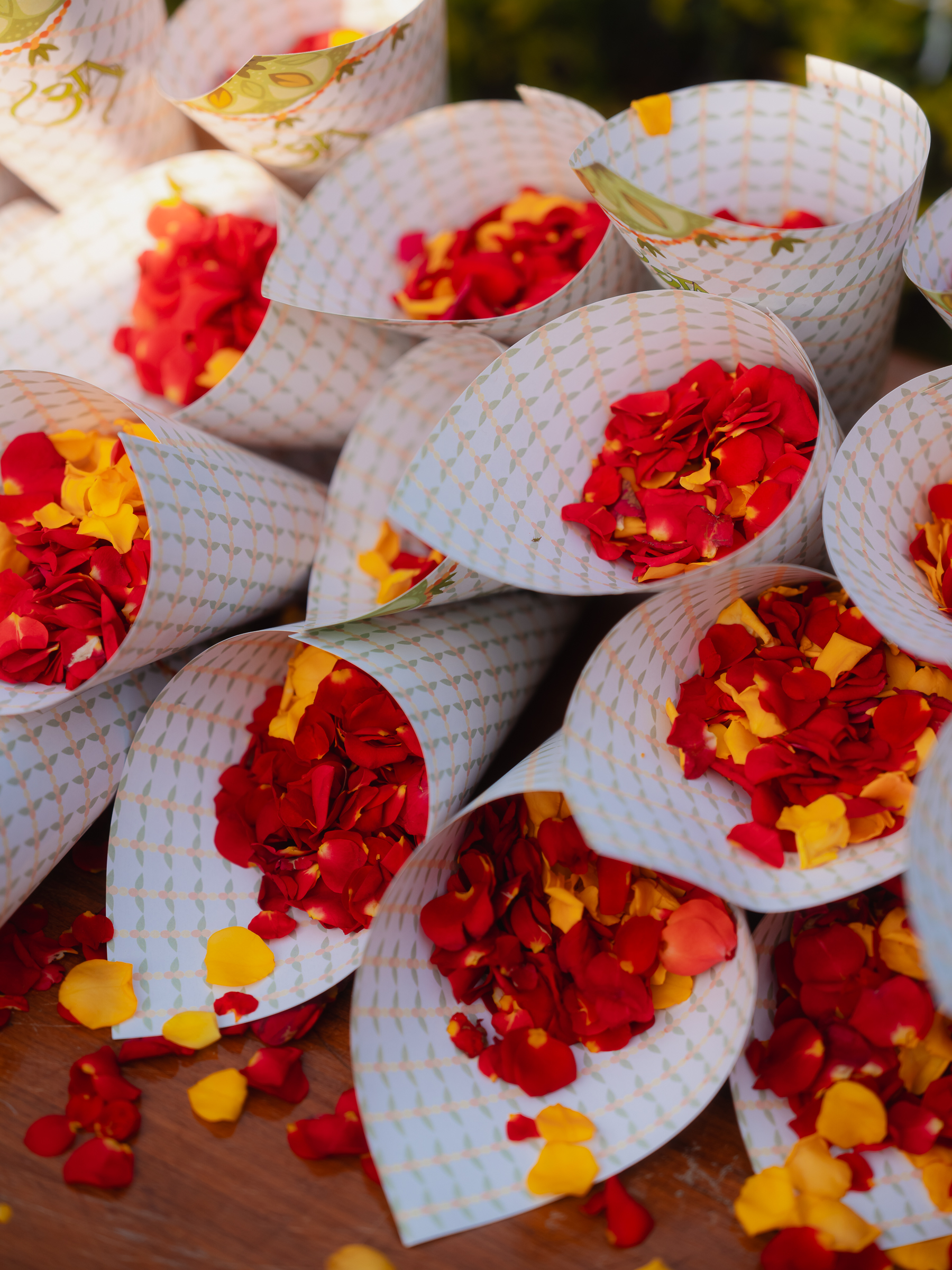 Image from Akhila Anand